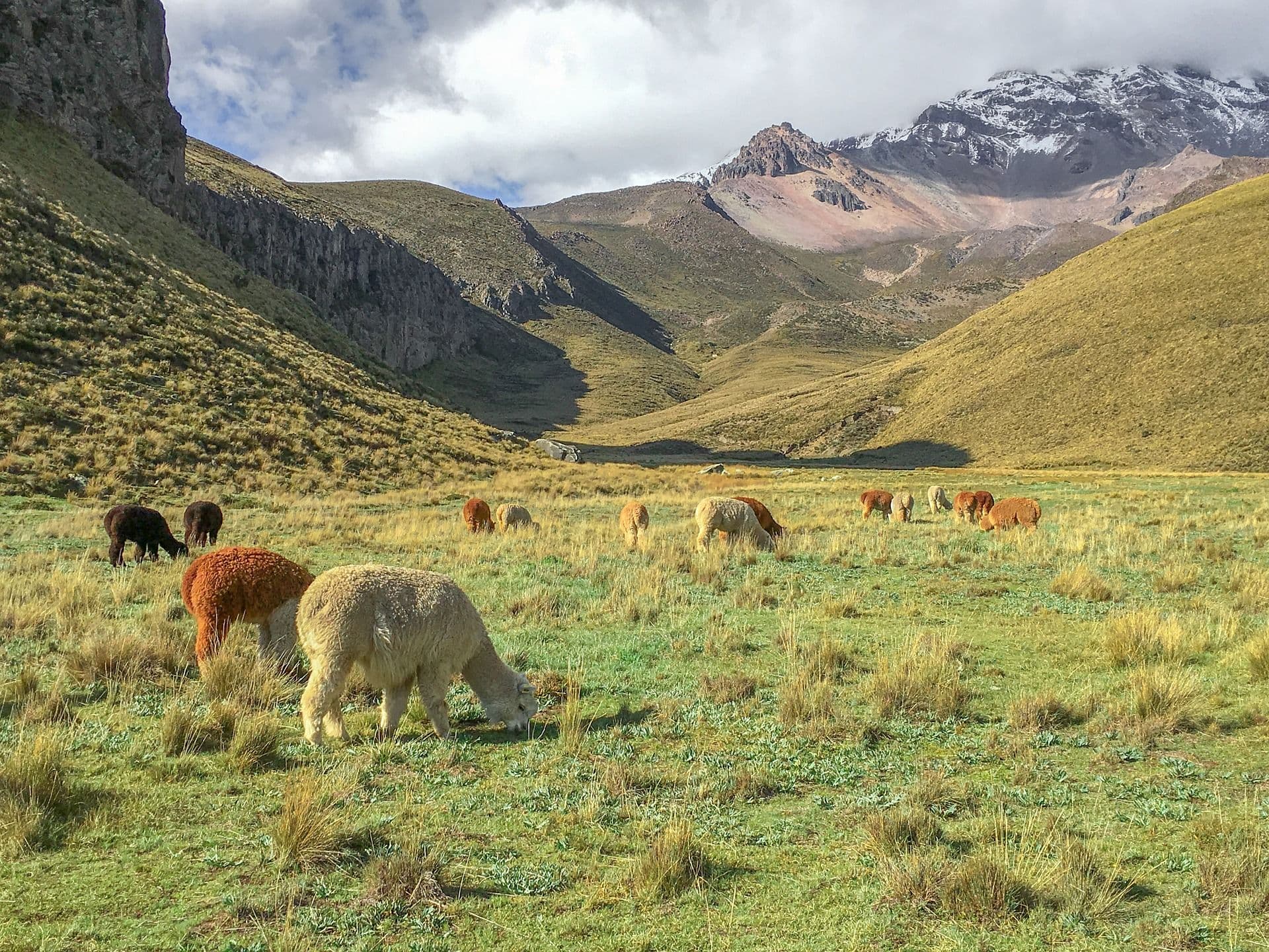 ecuador-3371110_1920.jpg