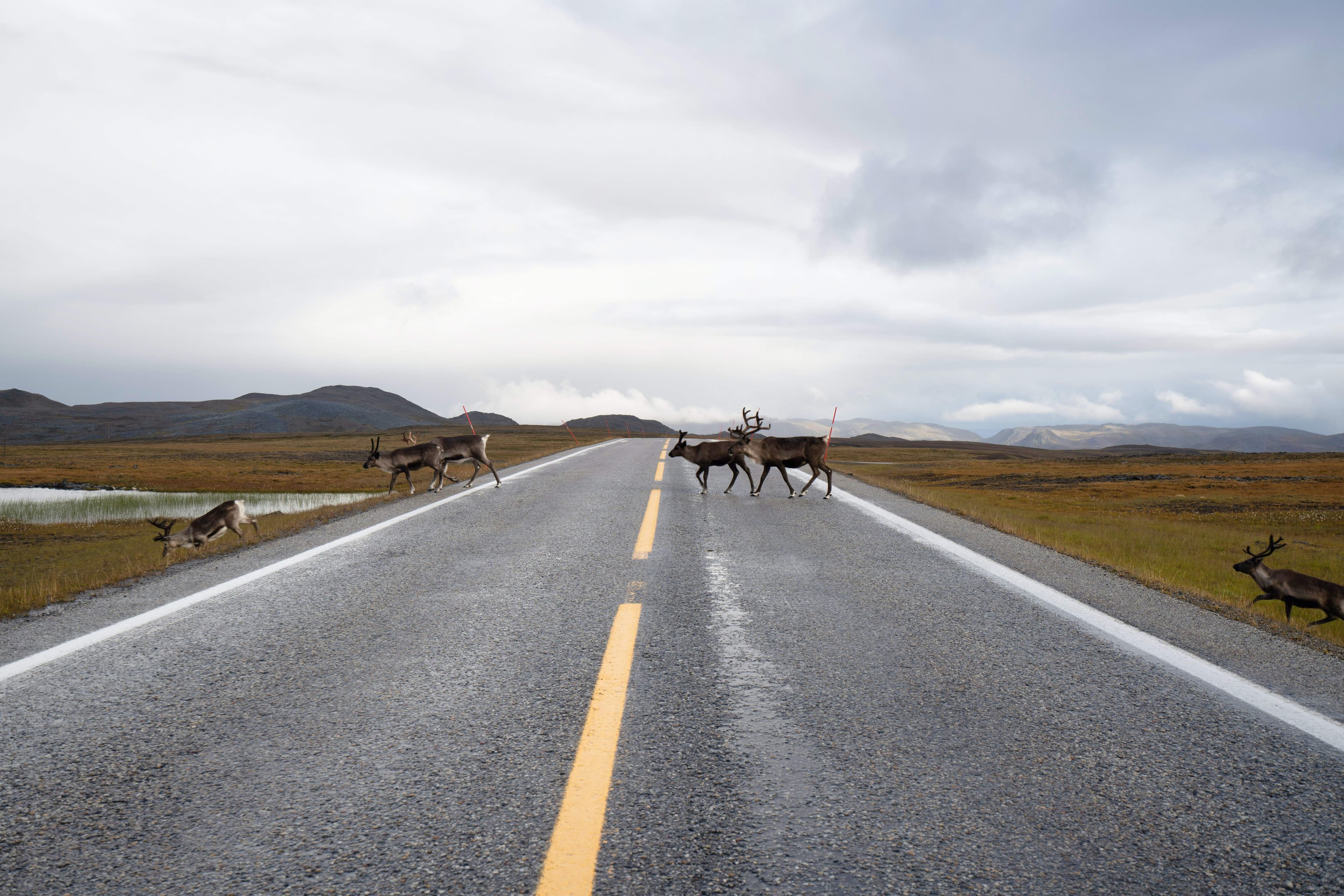 motorradtour-Nordkap-Elche.jpg