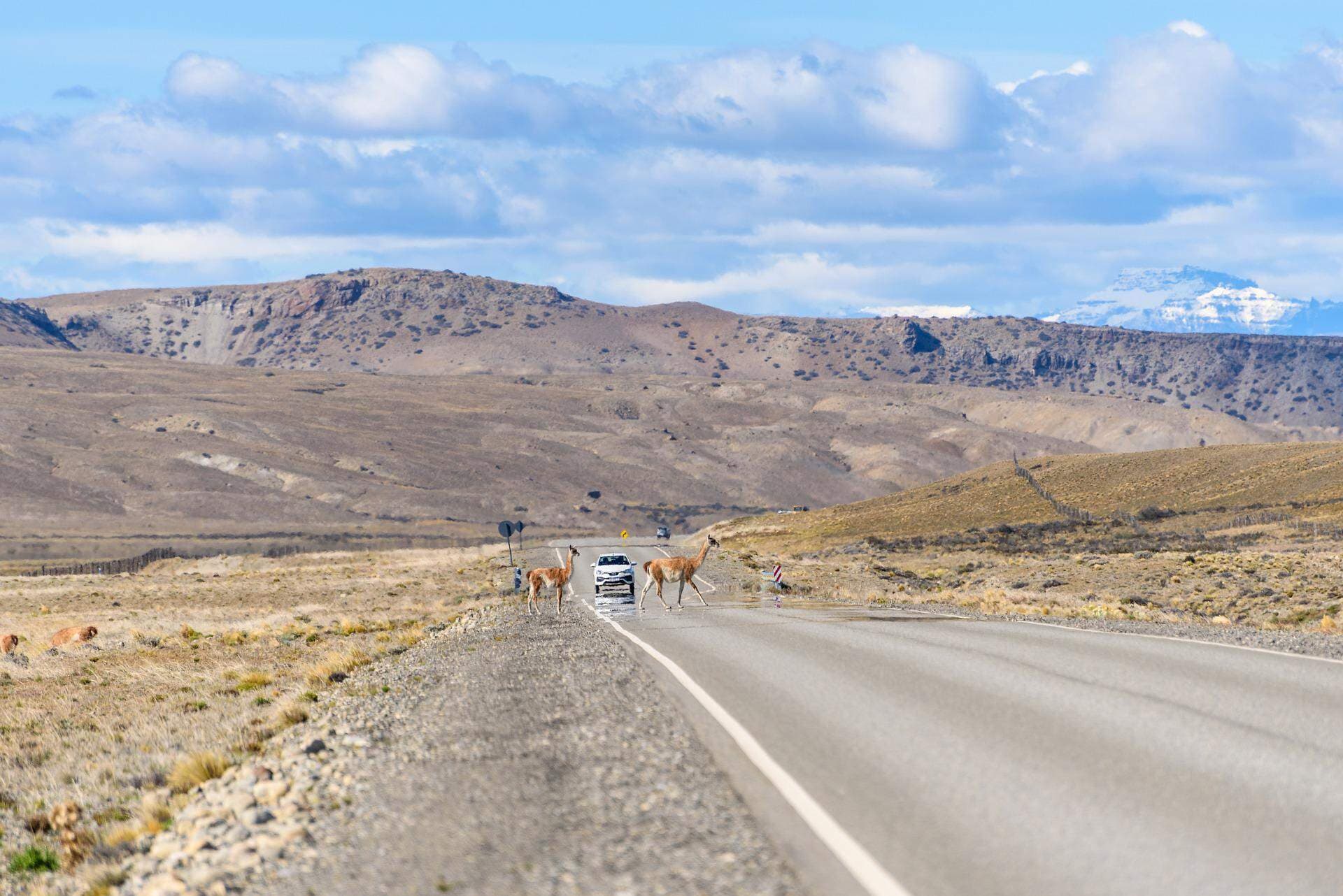 motorradtour-patagonia-straße.jpg
